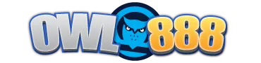 owl888